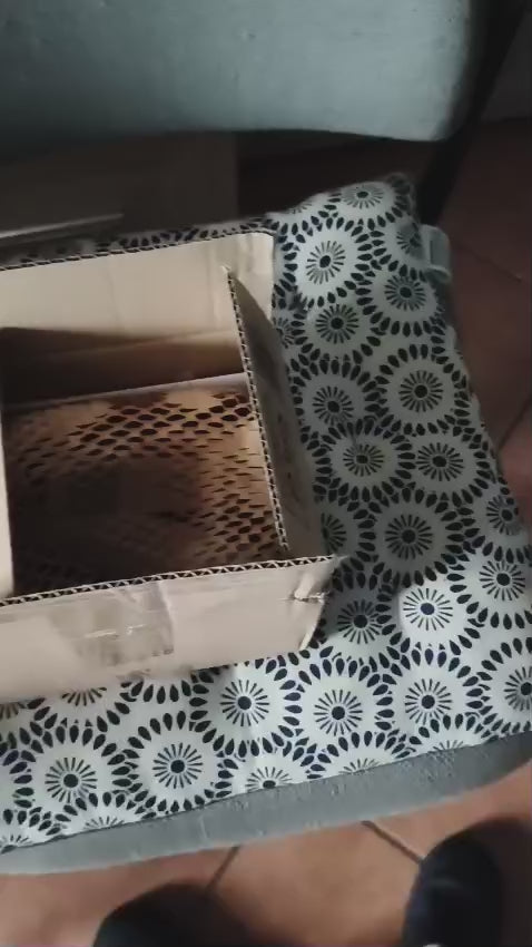 Routine a base di Cellule Staminali Naturali per capelli fragili e diradati | Trattamento Avanzato con Shampoo + Lozione